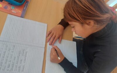 Bildung und Annahme machen den Unterschied