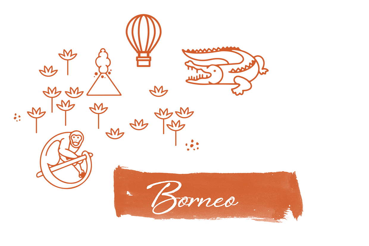 Grafik Icons Borneo